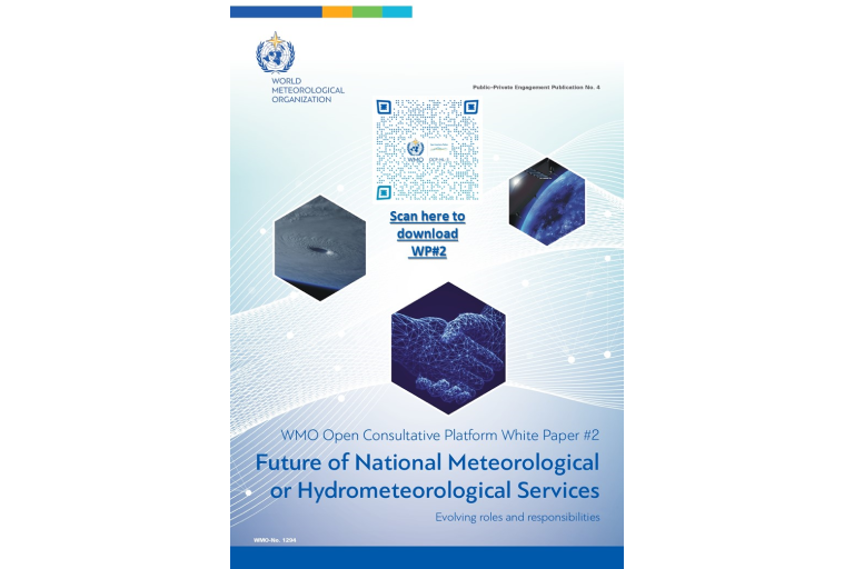 The poster for the future of national hysteroscopy and hysteroscopy services.