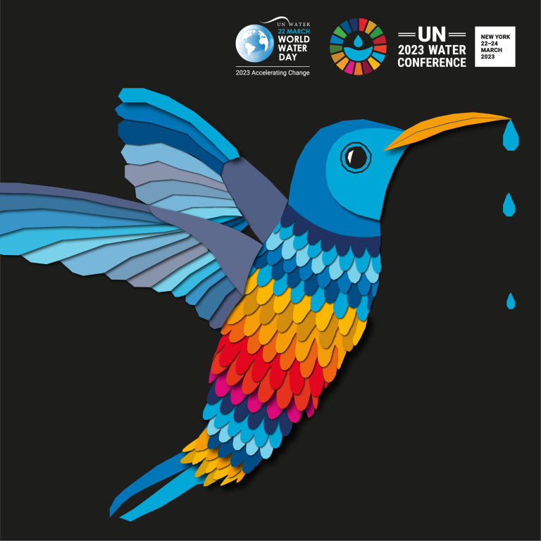 Hummingbird is symbol of World Water Day: Accelerating Change