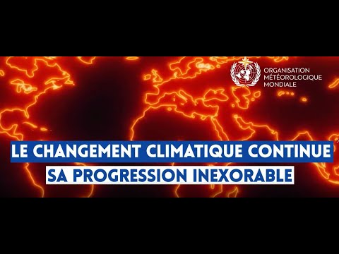 WMO Provisional Report on the State of the Global Climate in 2020 - French