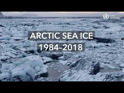 Arctic Sea Ice Animation