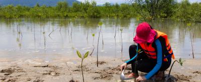 A person in a reflective vest and red hat is planting a seedling by a river, with mountains and trees in the background.