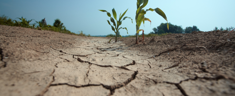 WMO and the Early Warnings for All Initiative