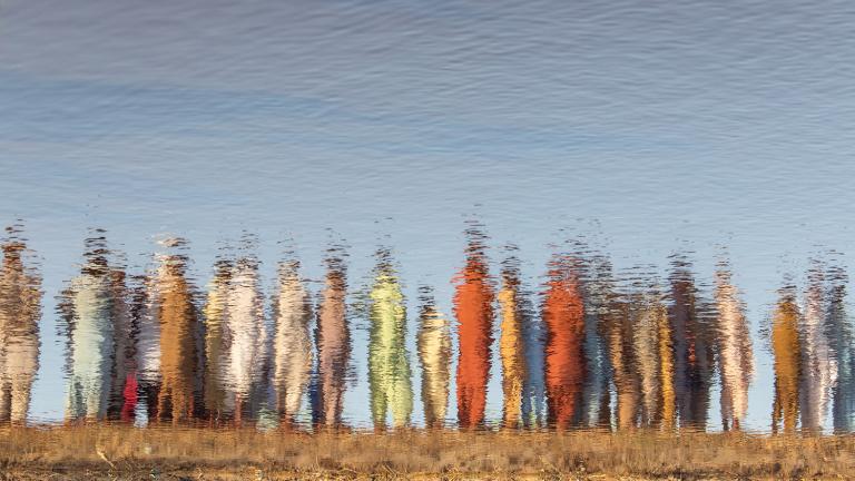 A group of people standing next to a body of water.
