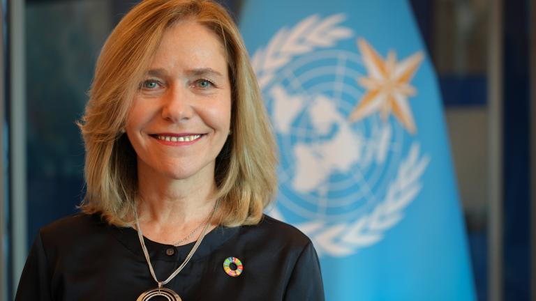 Smiling woman with shoulder-length blonde hair wearing a black top and necklace, standing in front of a blue United Nations flag with a circular pin.