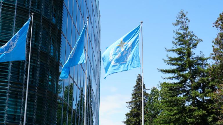 Three blue flags with a white emblem fly outside a modern glass building, with tall green trees and a blue sky in the background.