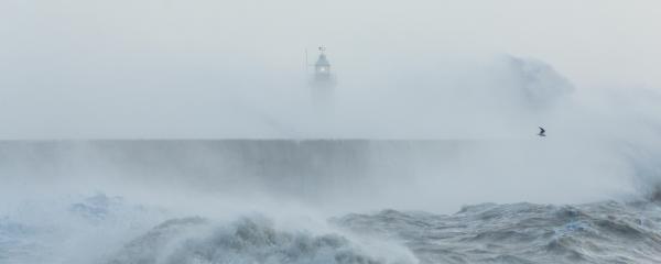 Rough seas crashing against a long, concrete breakwater, with a lighthouse faintly visible through mist. A lone bird flies above the water.