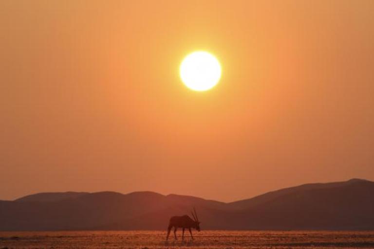 sun over the desert