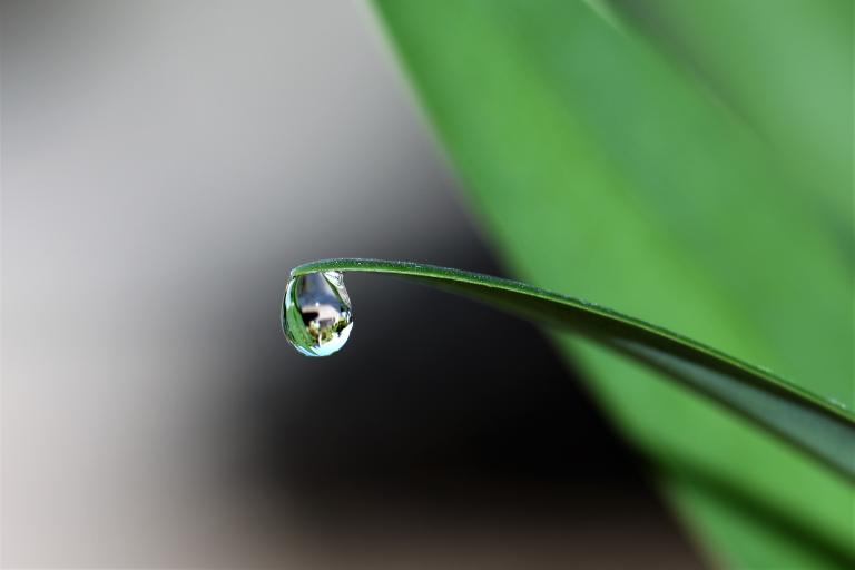 World Met Day 2020: Every Drop Counts