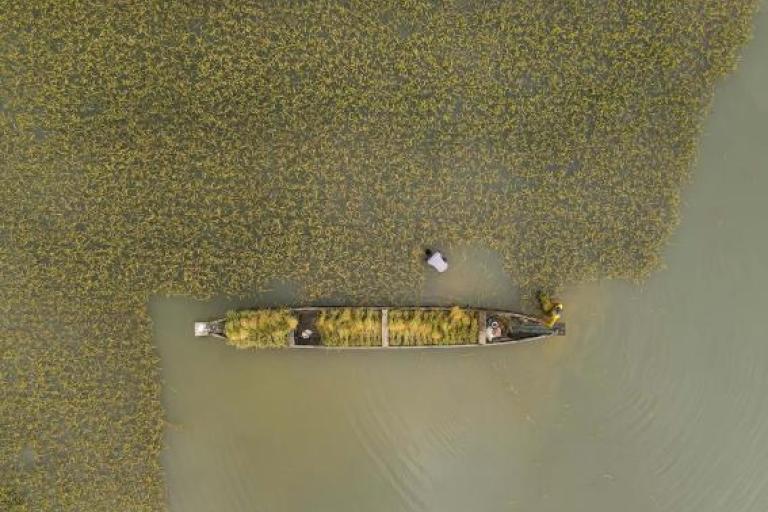 Boat in a culture