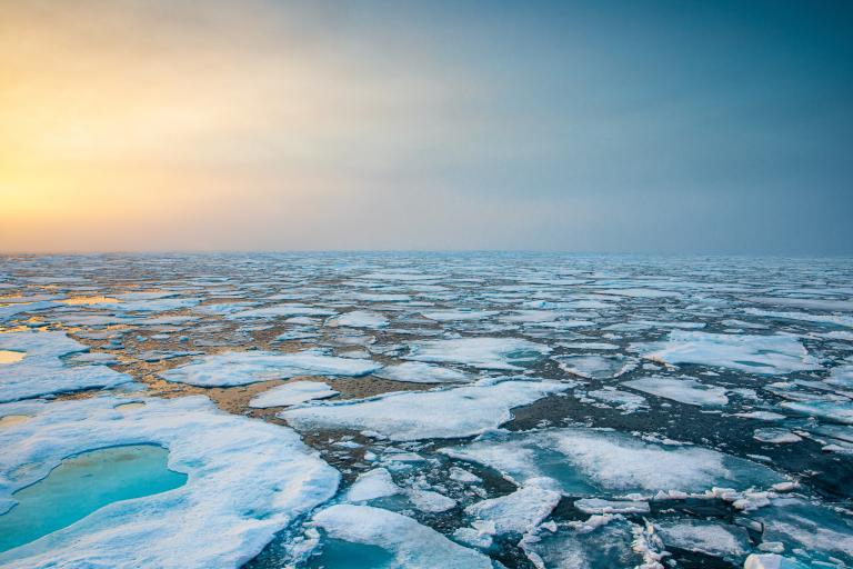 Ocean Sea Ice