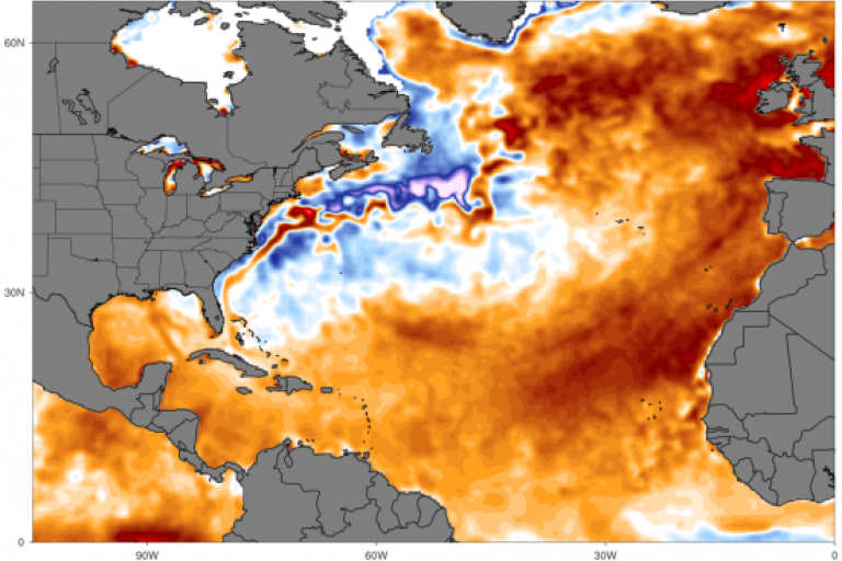 Sea surface temperature anomalies on 14 June 2023