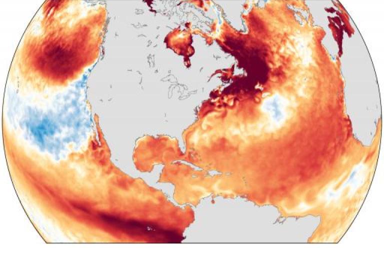 A map of the north atlantic sea surface temperature.