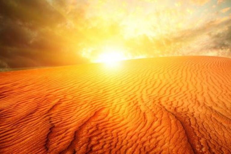 The sun rises over a sand dune in the desert.