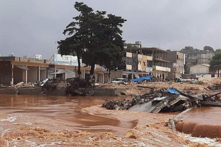 A flooded street with buildings and trees in the background.