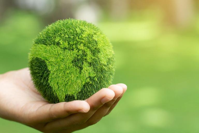 A person's hand holding a green grass globe.