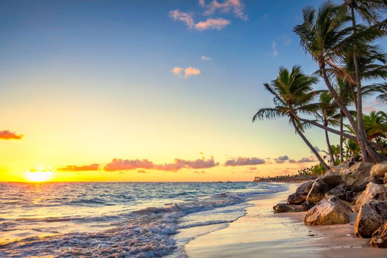 A beach with palm trees and rocks at sunset.