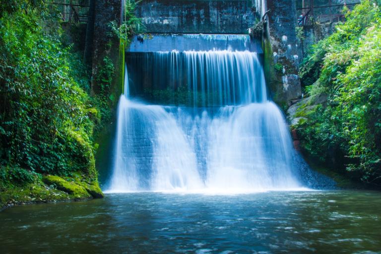 A waterfall in a forest.