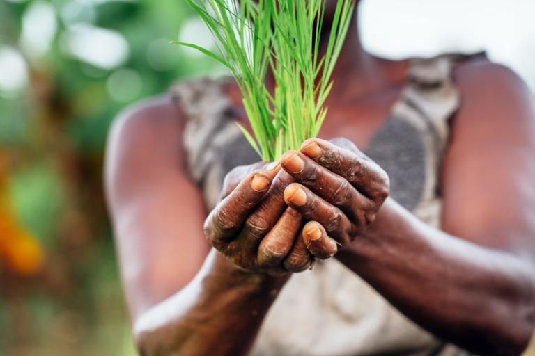 A woman is holding a green plant in her hands.