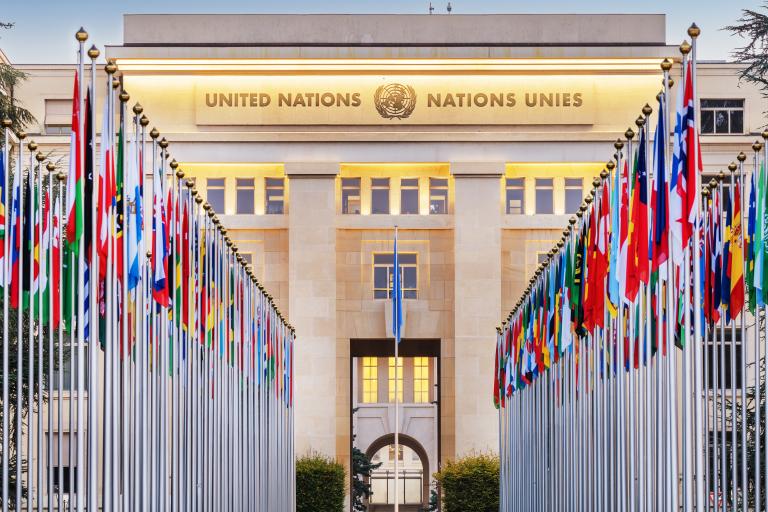 The united nations building has many flags in front of it.