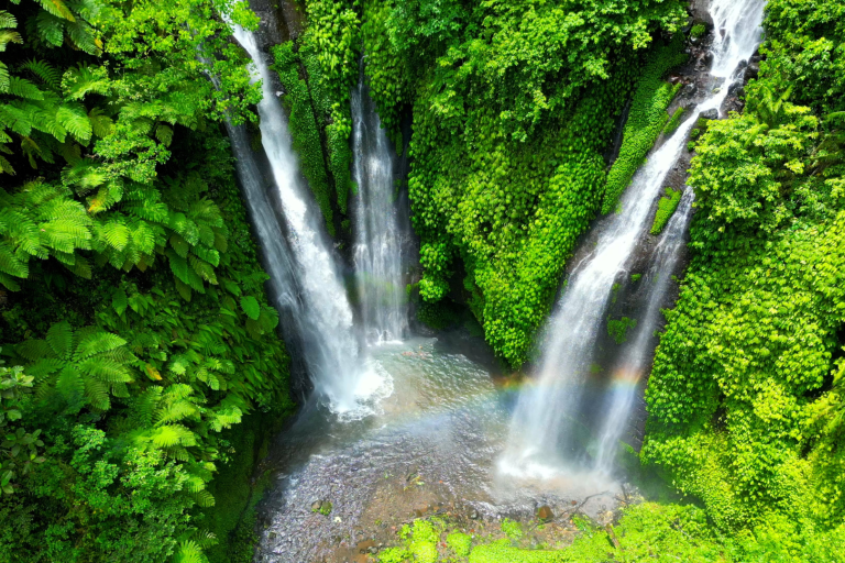 Aerial view of a double waterfall amidst lush green foliage.