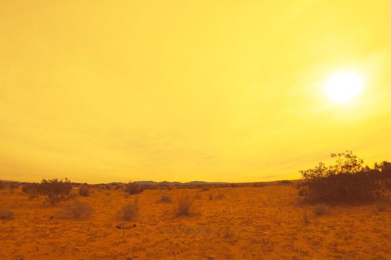 Desert landscape bathed in golden sunlight.