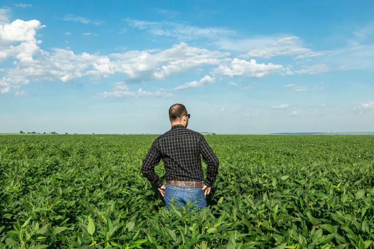 Man standing in a green field under a blue sky with clouds.