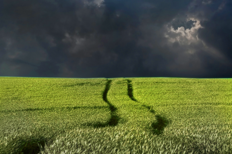 A green field with tire tracks under a dark, stormy sky.