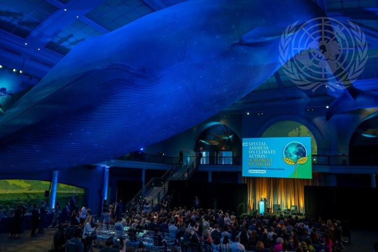 A large hall with a giant whale model hanging from the ceiling, a crowd seated below, and a speaker addressing the UN Climate Action event, as shown on the illuminated screen in the background.