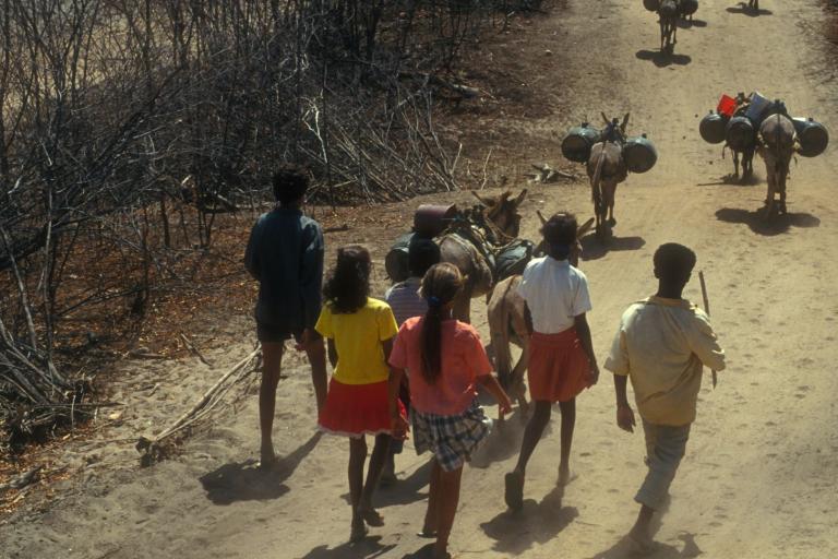 A group of people walking on a dirt path with donkeys carrying goods, surrounded by dry shrubs.