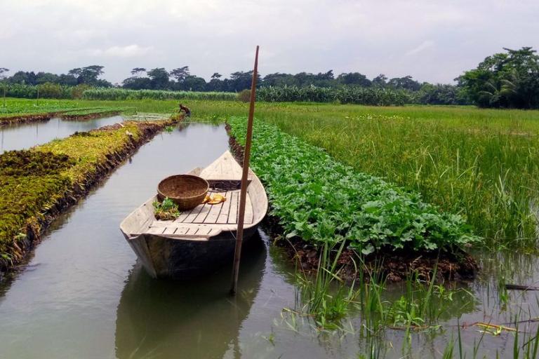 A wooden boat with a basket on board floats in a narrow water channel between green agricultural fields under a cloudy sky.