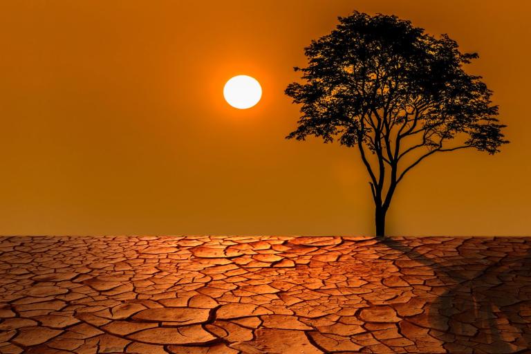 A barren landscape with dry, cracked earth, a single tree, and the sun low on the horizon against an orange sky.