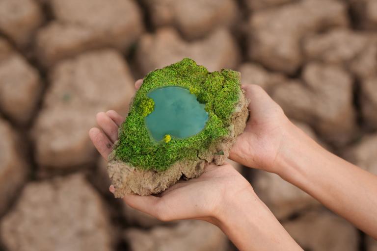 Hands holding a piece of dry cracked earth with moss and a small pool of water. Background shows more cracked earth.