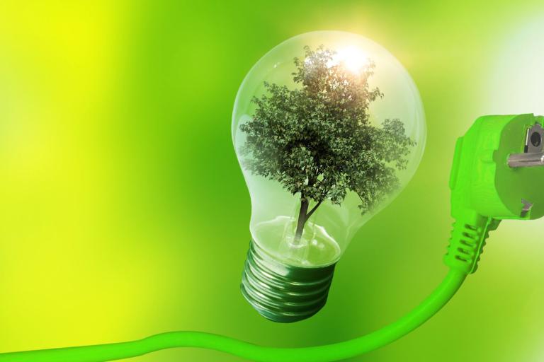 A light bulb with a tree inside symbolizes green energy. A green electrical plug extends from the bulb against a bright green background.