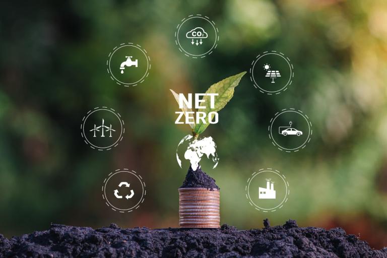 Plant growing from stack of coins with "Net Zero" text, surrounded by icons representing sustainable practices like wind energy, recycling, and electric vehicles against a blurred natural background.