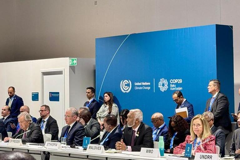 A group of people in formal attire seated and standing at tables in a conference room with a blue United Nations Climate Change backdrop.