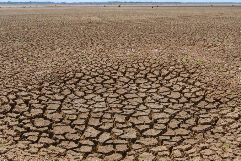 Cracked, dry earth extending to the horizon, with a clear sky above and few small plants visible in the distance.