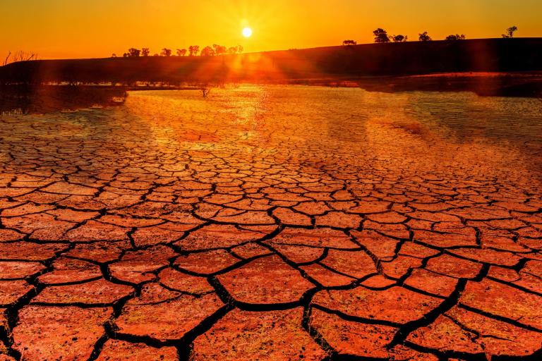 A cracked, dry earth landscape under a vibrant orange sunset, with silhouettes of distant trees along the horizon.