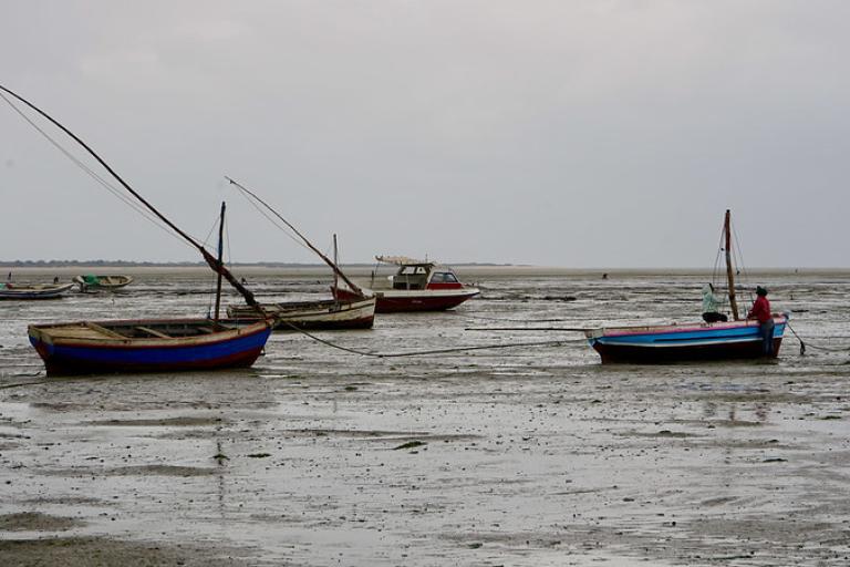 Several small boats are anchored in a muddy shoreline during low tide under a cloudy sky.