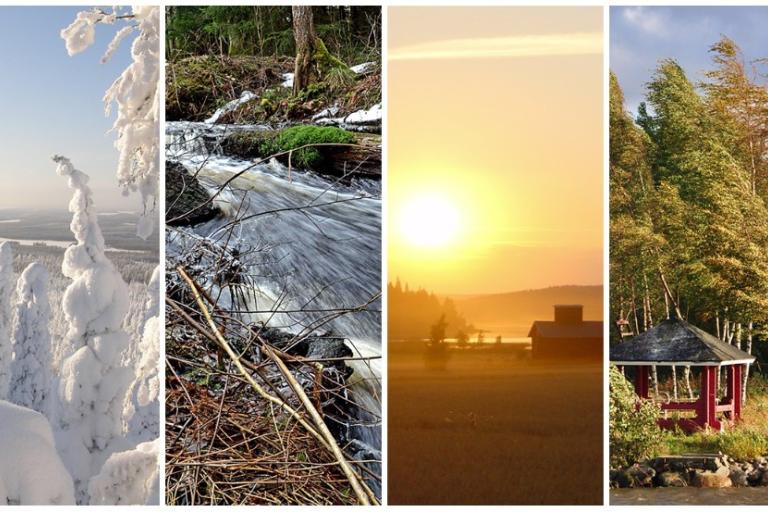A collage of four seasonal images: snowy trees in winter, a rushing stream in spring, a sunset over fields in summer, and wind-blown trees by a cabin in autumn.