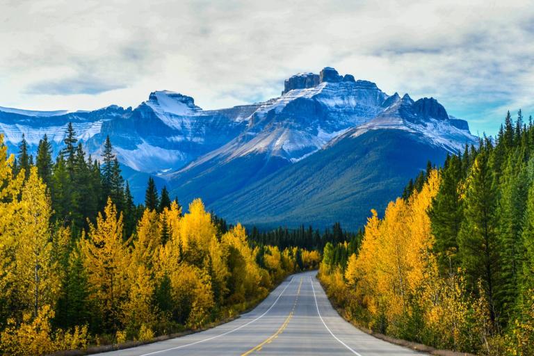A paved road leads through a forest of yellow and green trees, toward a snow-covered mountain range under a cloudy sky.