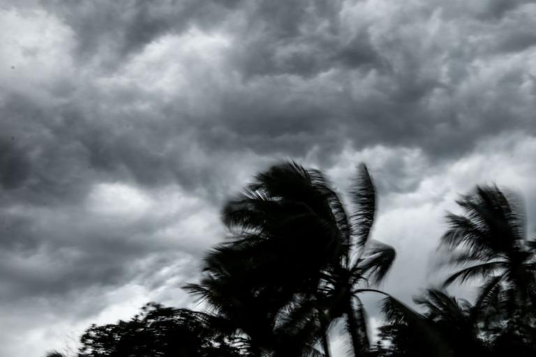 Dark storm clouds loom over swaying palm trees, indicating strong winds and impending rain.