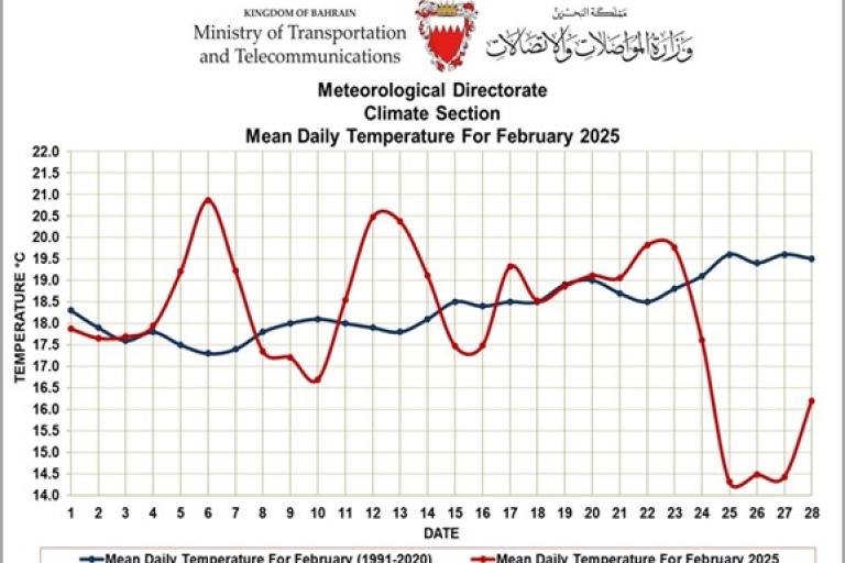 Line graph showing mean daily temperatures for February 2025 and 1991-2020 in Bahrain. Temperatures fluctuate around 18-21°C, with a notable drop on the 28th in 2025.