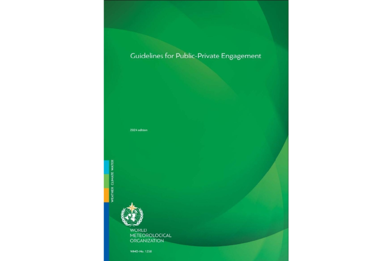 Green cover of "Guidelines for Public-Private Engagement" by World Meteorological Organization, 2004 edition.