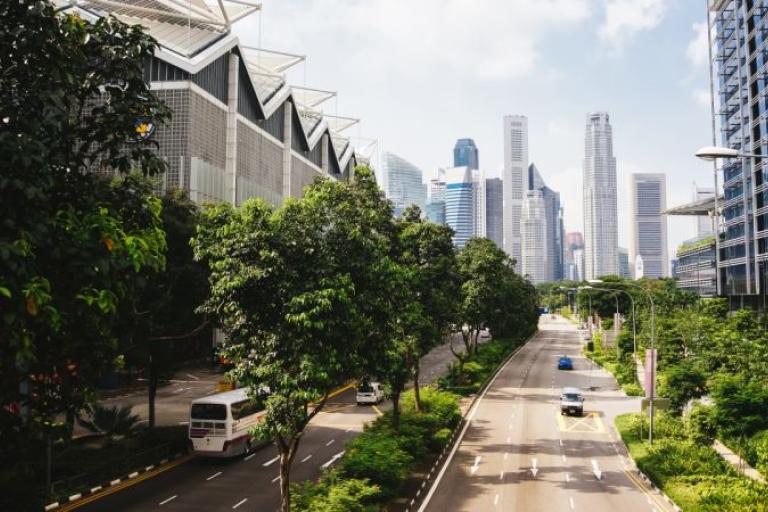 City street with light traffic, lined with trees and modern buildings under a blue sky. Skyscrapers are visible in the background.