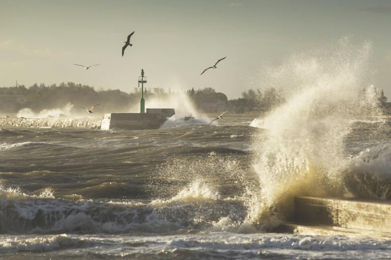Rough waves splashing against a pier with a green beacon; seagulls flying above; shoreline and trees visible in the background.