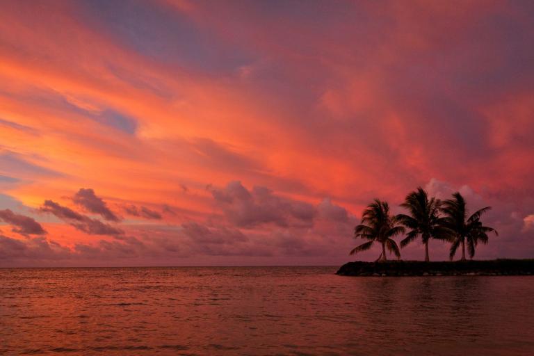 Small island with palm trees silhouetted against a vivid orange and pink sunset sky over calm ocean water.
