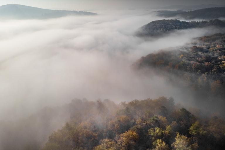 Aerial view of a forested landscape with rolling hills partially covered by dense fog under a cloudy sky.