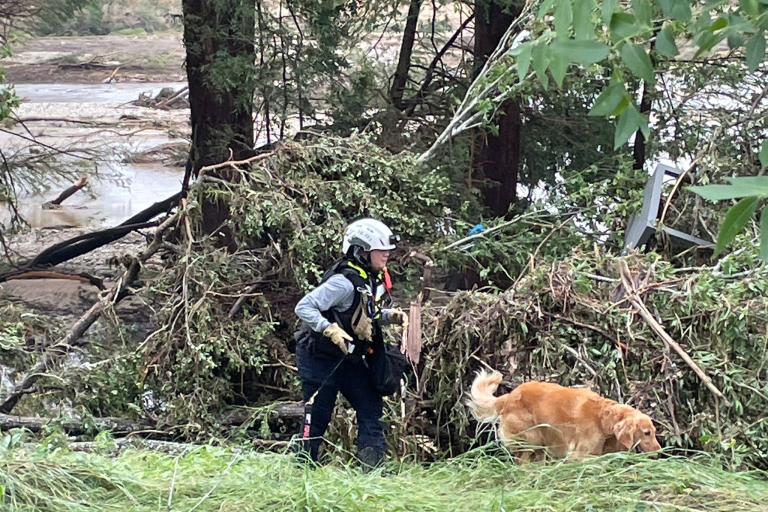 A rescue worker in safety gear walks with a dog near debris and fallen branches in a forested area after a flood.
