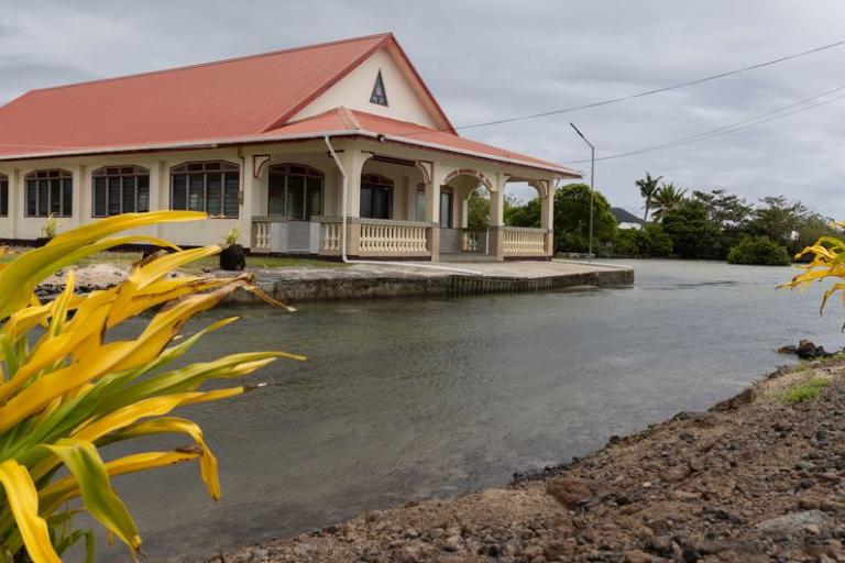 A house with a red roof sits beside a flooded street on a cloudy day, with yellow flowers and greenery in the foreground.