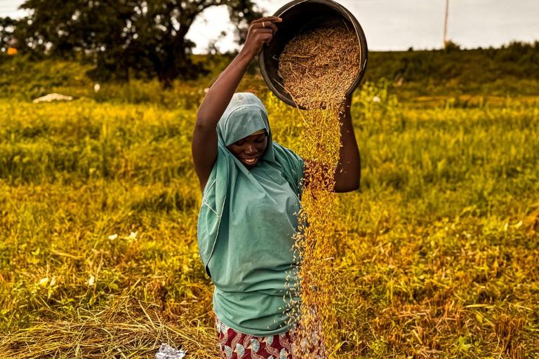 A person wearing a green headscarf and shirt pours a bucket of grains over a field with tall grass and trees in the background.